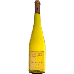 Muscadet Sèvre et Maine sur...